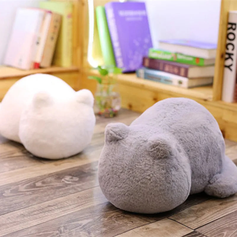 Cat Plush and fluffy pillow