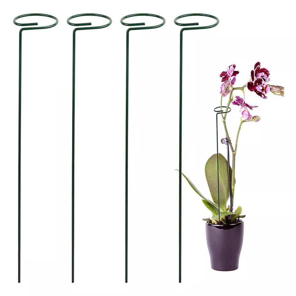 Plant Support Sticks Indoor and outdoor - 5 Pieces