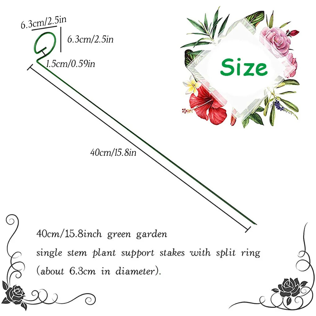 Plant Support Sticks Indoor and outdoor - 5 Pieces